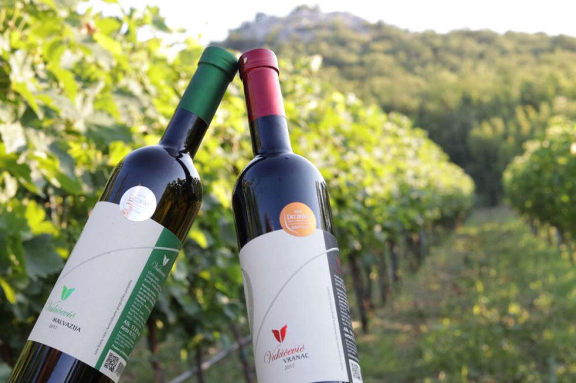 Finest Wines of Montenegro Private Tour