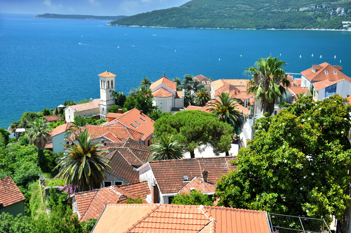 Herceg-Novi city